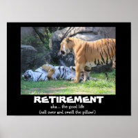 Funny Sleeping Tiger (16x12), RETIREMENT