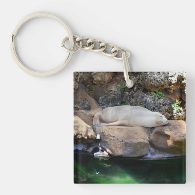 Funny Sleeping White Sea Lion On Rocks,  Key Ring (Front)