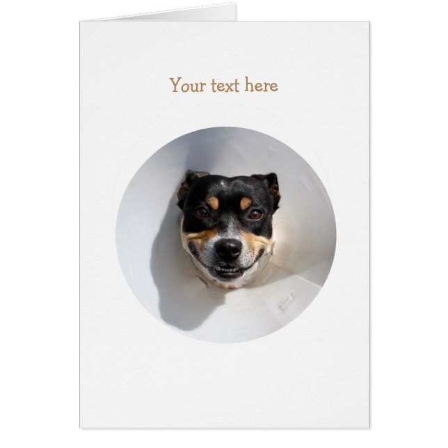 Funny smiling dog (Front)