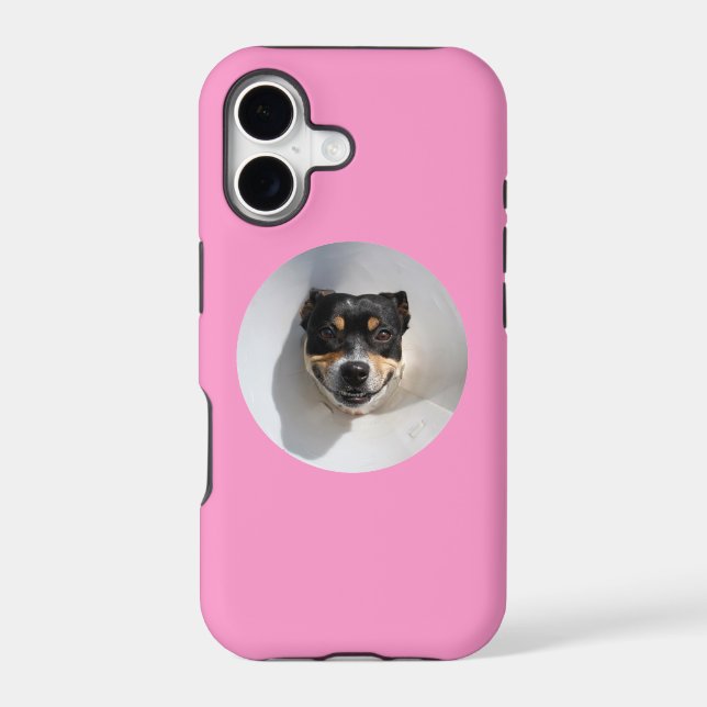 Funny smiling dog (Back)