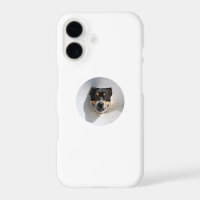 Funny smiling dog