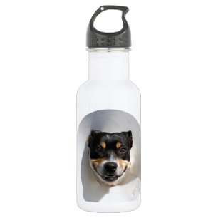 Funny smiling dog 532 ml water bottle