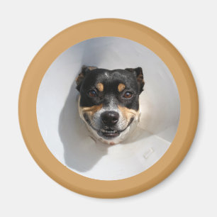 Funny smiling dog magnet