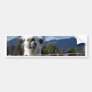 Funny Smiling Llama in Southern Oregon Bumper Sticker