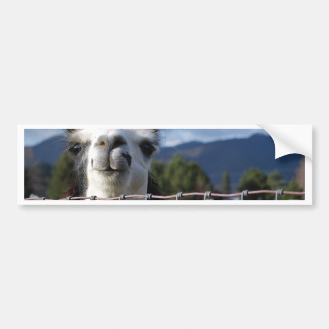 Funny Smiling Llama in Southern Oregon Bumper Sticker (Front)