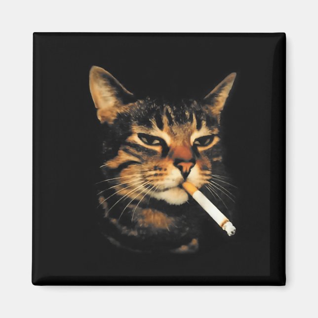 Funny Smoking Cat Cigarette Kitten Meme Stupid Bra Magnet (Front)