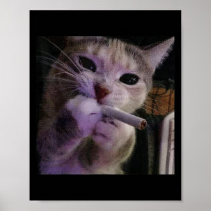 Funny Smoking Cat, Cigarette Kitty Gen Z Meme, Cat Poster