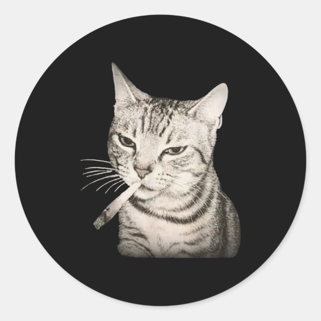 Funny Smoking Cat Cigarette Kitty Gen Z Meme  Classic Round Sticker (Front)