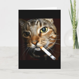Funny Smoking Cat Meme Dark Humor Sarcastic Cat Ar Card
