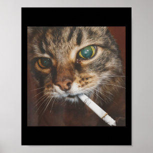 Funny Smoking Cat Meme Poster