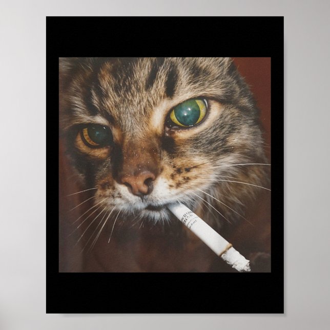 Funny Smoking Cat Meme  Poster (Front)