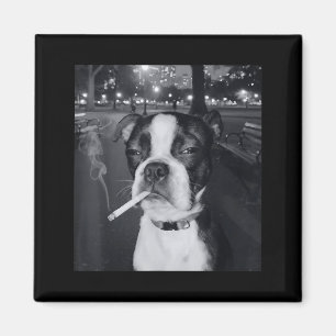 Funny Smoking Dog Meme Cigarette Gen Z Meme Dog Lo Magnet