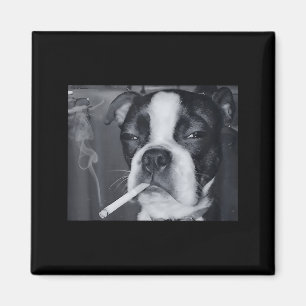Funny Smoking Dog Meme Cigarette Gen Z Meme Dog Lo Magnet