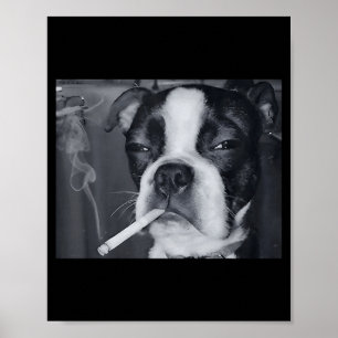 Funny Smoking Dog Meme Cigarette Gen Z Meme Dog Lo Poster