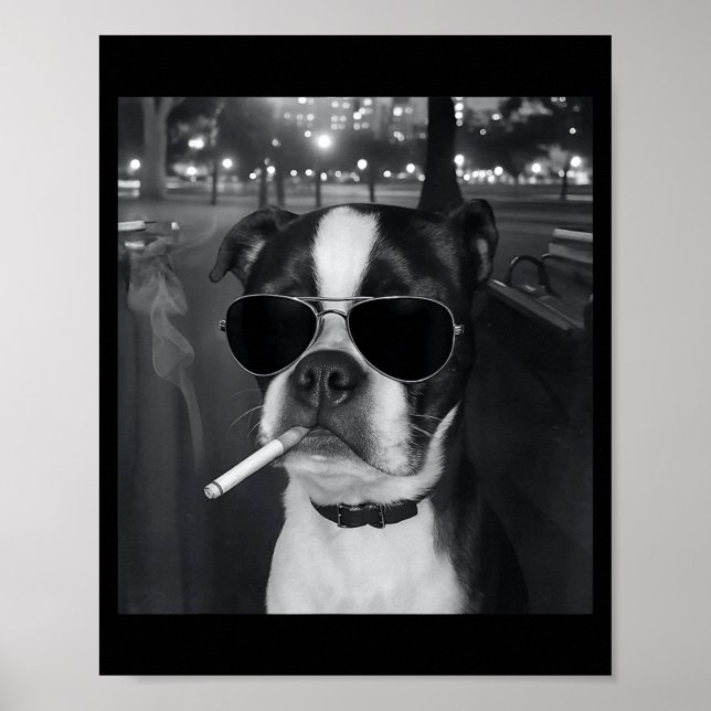 Funny Smoking Dog Meme Cigarette Gen Z Meme Dog Lo Poster (Front)