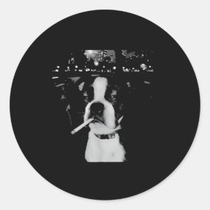 Funny Smoking Dog Meme  Classic Round Sticker
