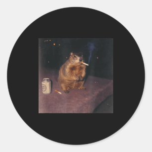 Funny Smoking Groundhog Cigarette Gen Z Retro Meme Classic Round Sticker