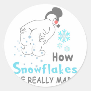 Funny Snow How Snowflakes Are Really Made  Classic Round Sticker