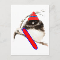 Funny Snowboarding Chick, Cute Sport Bird