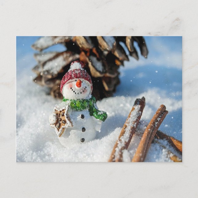 Funny snowman eating treats postcard (Front)