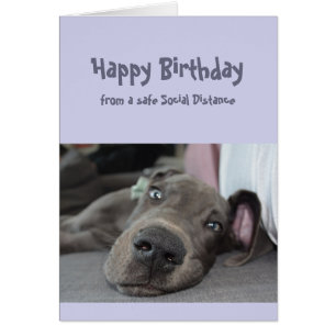 Funny Social Distancing Birthday Great Dane Dog