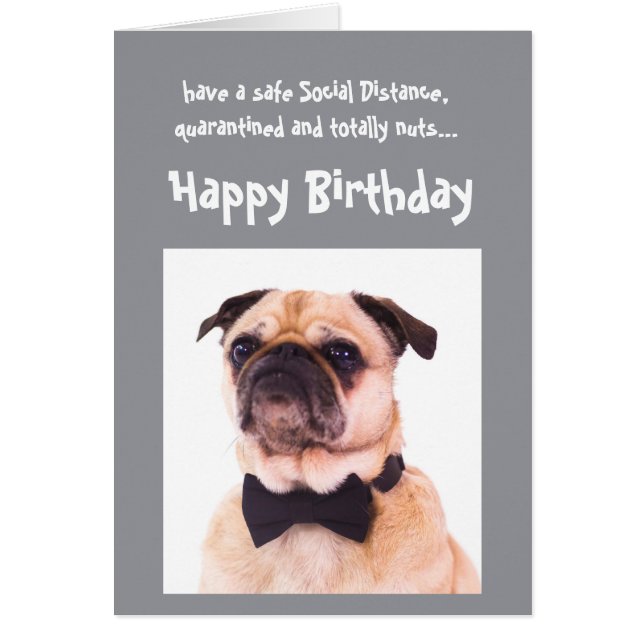 Funny Social Distancing Birthday Well Dressed Dog (Front)