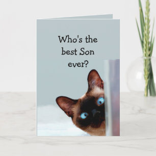 Funny Son Birthday Wishes Siamese Cat Card