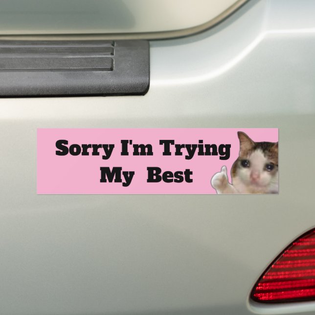 Funny "Sorry I'm Trying My Best" Bumper Sticker |  (On Car)