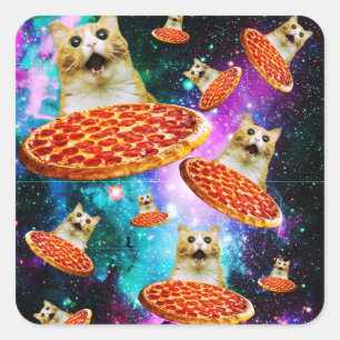 Funny space pizza cat square sticker