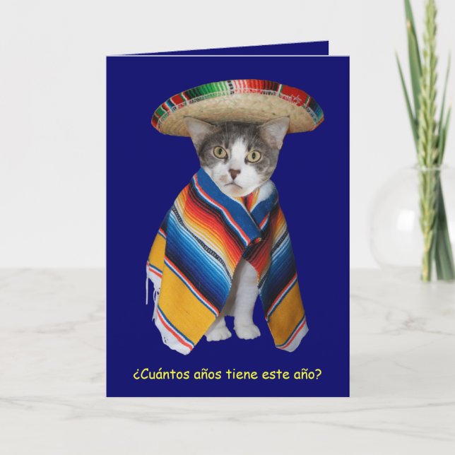 Funny Spanish Cat/Kitty Birthday Card (Front)