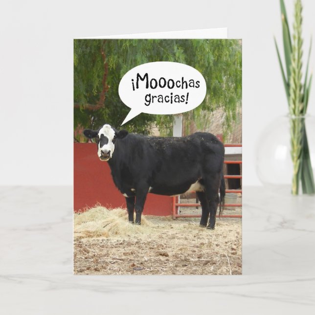 Funny Spanish Speaking Cow Thank You Card (Front)