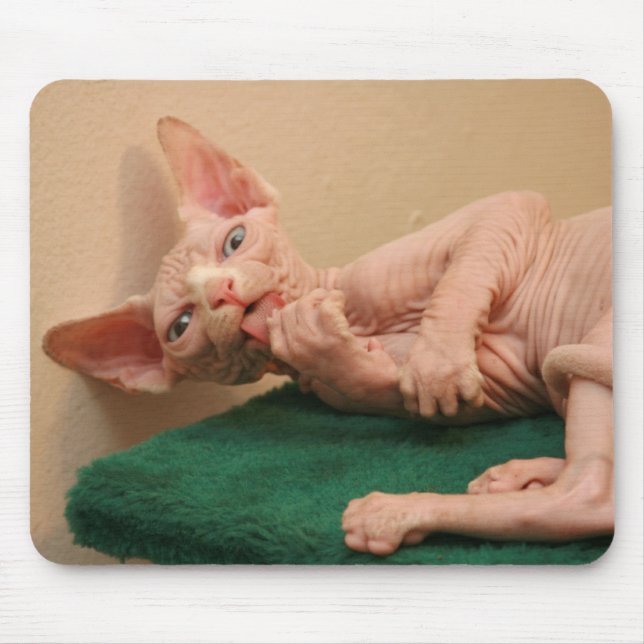 Funny sphinx cat mouse mat (Front)