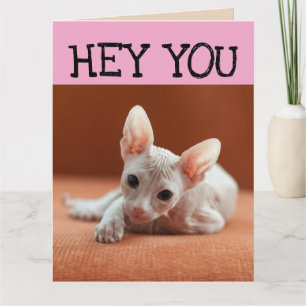 FUNNY SPHYNX CAT BIRTHDAY GREETING CARDS