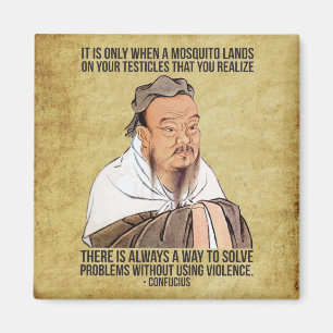Funny Spiritual Quote - Mosquito on Testicles Magnet