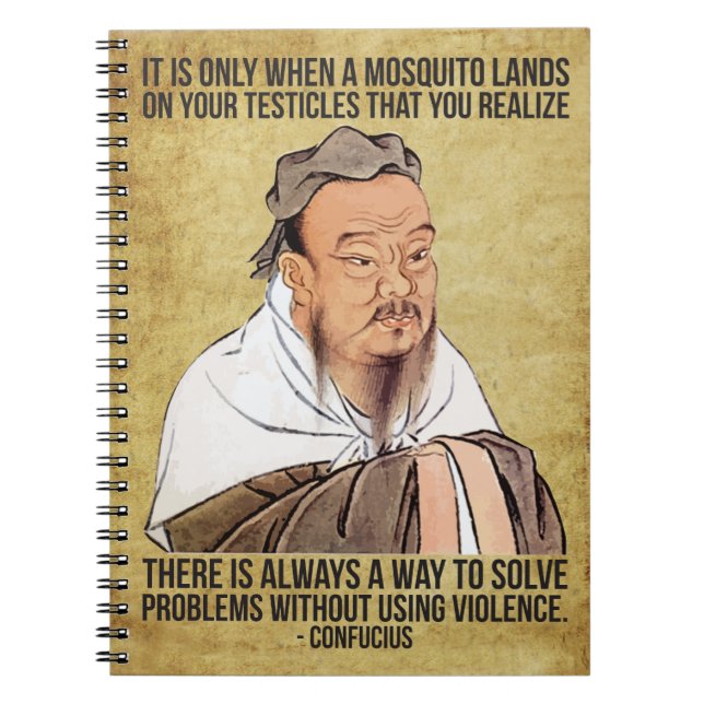 Funny Spiritual Quote - Mosquito on Testicles Notebook (Front)