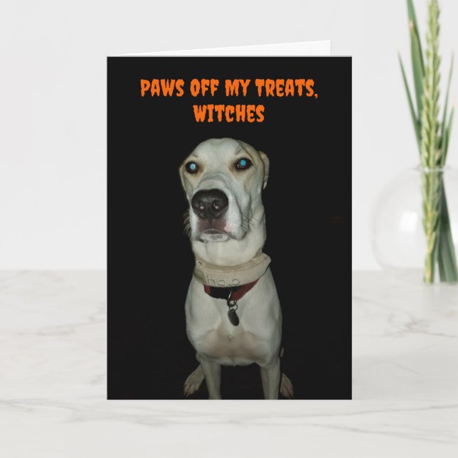 Funny Spooky Dog Paws Off My Treats Halloween Card (Front)