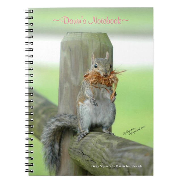 Funny Squirrel Customised Notebook (Front)