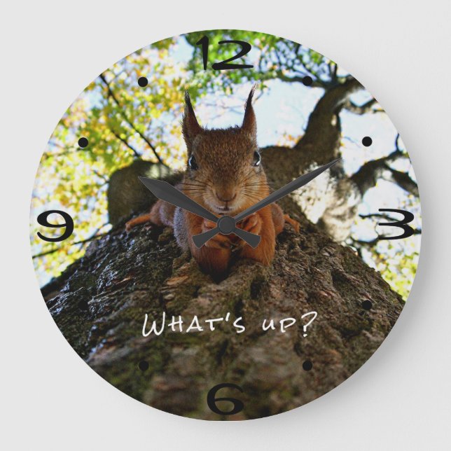 Funny Squirrel Cute Animals Hello There From Hi Large Clock (Front)