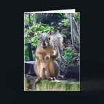 Funny Squirrel Deez Nuts Custom Text Birthday Card<br><div class="desc">Customise this funny birthday card or leave it as... DEEZ NUTS! A hilarious squirrel play on words joke about his nuts. Crude humour for an adult occasion. Make your friends laugh with this pop culture quote.</div>