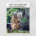 Funny Squirrel Deez Nuts Inappropriate Birthday Postcard<br><div class="desc">I got you something for your birthday... DEEZ NUTS! A hilarious squirrel play on words joke about his nuts. Crude humour for an adult's birthday. Make your friends laugh with this pop culture quote on a funny postcard.</div>