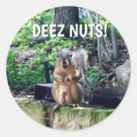 Funny Squirrel Deez Nuts Inappropriate Humour Phot