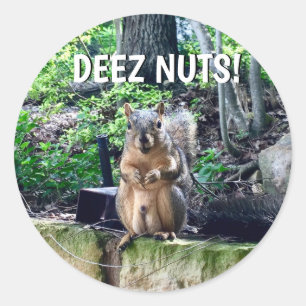 Funny Squirrel Deez Nuts Inappropriate Humour Phot Classic Round Sticker