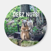 Funny Squirrel Deez Nuts Inappropriate Humour Phot