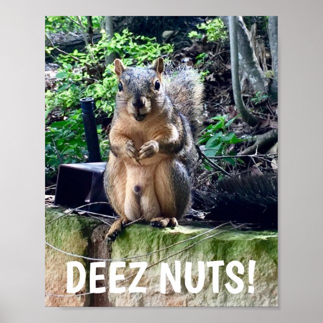 Funny Squirrel Deez Nuts Inappropriate Humour Poster (Front)