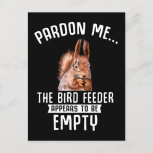 Funny Squirrel Empty Bird Feeder Squirrels Postcard