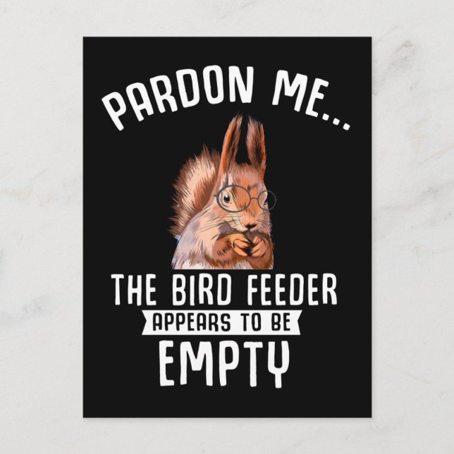 Funny Squirrel Empty Bird Feeder Squirrels Postcard (Front)