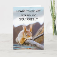 Funny Squirrel Feel Better Get Well Soon