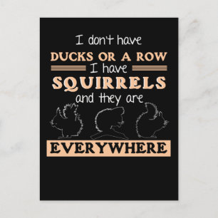Funny Squirrel Garden Humour Squirrels Joke Postcard