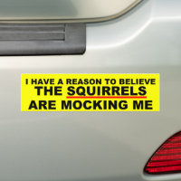 Funny squirrel joke