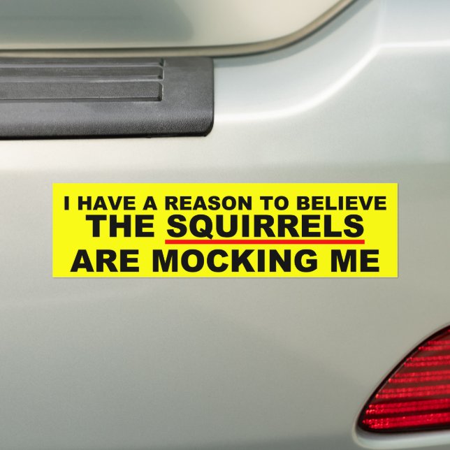 Funny squirrel joke bumper sticker (On Car)